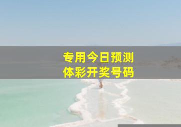 专用今日预测体彩开奖号码