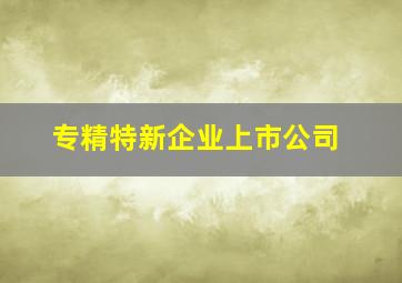 专精特新企业上市公司