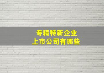 专精特新企业上市公司有哪些