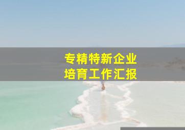 专精特新企业培育工作汇报