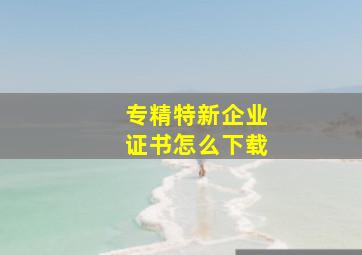 专精特新企业证书怎么下载