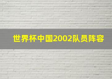 世界杯中国2002队员阵容