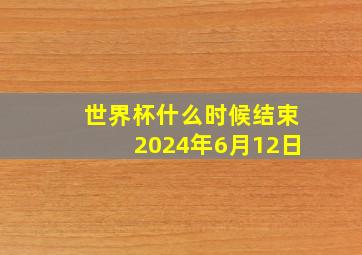 世界杯什么时候结束2024年6月12日