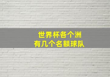 世界杯各个洲有几个名额球队