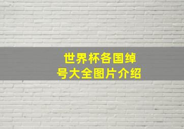 世界杯各国绰号大全图片介绍