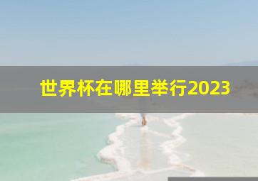 世界杯在哪里举行2023