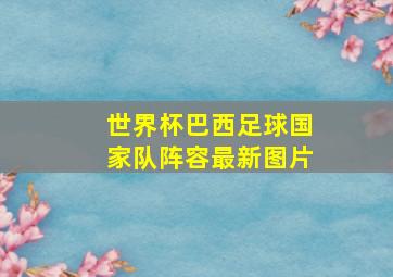 世界杯巴西足球国家队阵容最新图片