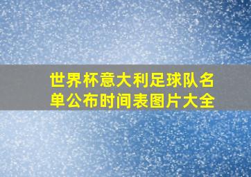 世界杯意大利足球队名单公布时间表图片大全