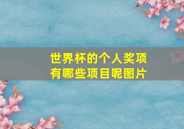 世界杯的个人奖项有哪些项目呢图片