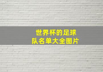 世界杯的足球队名单大全图片