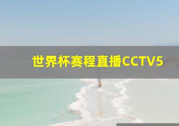 世界杯赛程直播CCTV5