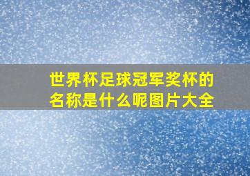 世界杯足球冠军奖杯的名称是什么呢图片大全