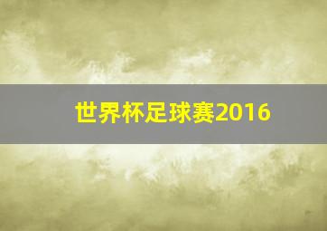 世界杯足球赛2016