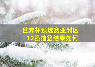 世界杯预选赛亚洲区12强抽签结果如何