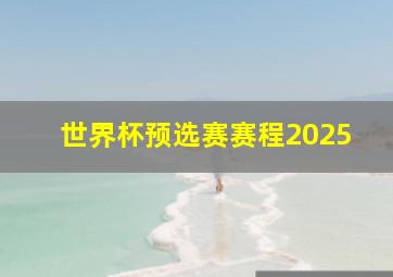 世界杯预选赛赛程2025