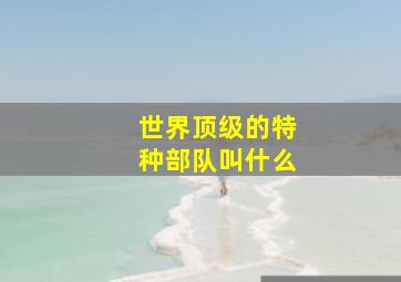 世界顶级的特种部队叫什么