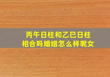 丙午日柱和乙巳日柱相合吗婚姻怎么样呢女