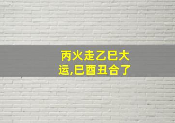 丙火走乙巳大运,巳酉丑合了