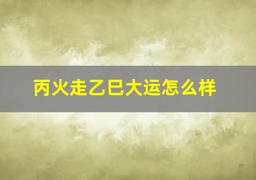 丙火走乙巳大运怎么样