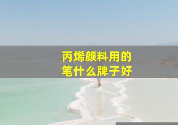 丙烯颜料用的笔什么牌子好