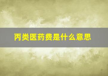 丙类医药费是什么意思