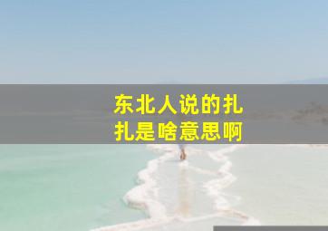 东北人说的扎扎是啥意思啊