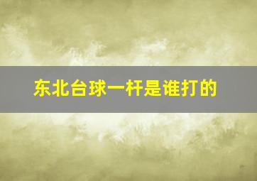 东北台球一杆是谁打的