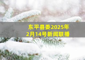 东平县委2025年2月14号新闻联播