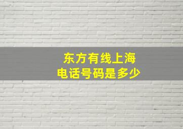 东方有线上海电话号码是多少