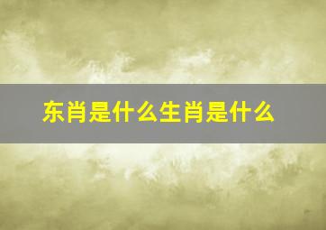 东肖是什么生肖是什么