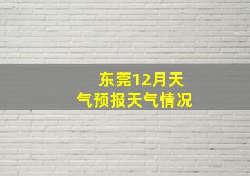 东莞12月天气预报天气情况