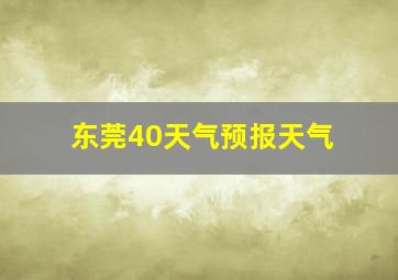 东莞40天气预报天气