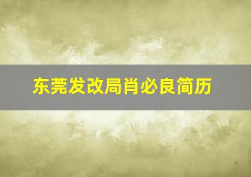 东莞发改局肖必良简历