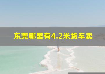 东莞哪里有4.2米货车卖