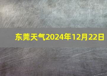 东莞天气2024年12月22日