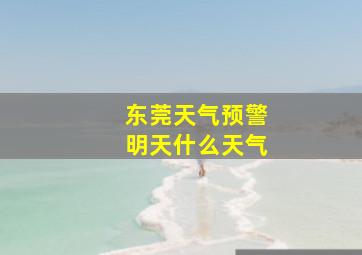 东莞天气预警明天什么天气