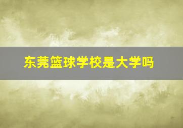 东莞篮球学校是大学吗