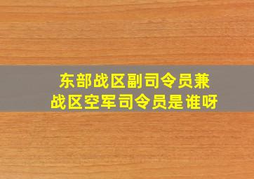 东部战区副司令员兼战区空军司令员是谁呀