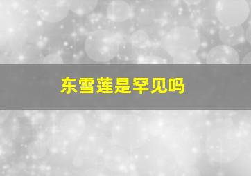 东雪莲是罕见吗