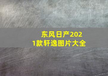 东风日产2021款轩逸图片大全