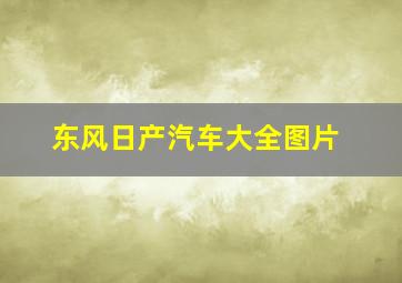 东风日产汽车大全图片