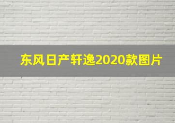 东风日产轩逸2020款图片