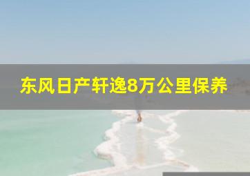 东风日产轩逸8万公里保养