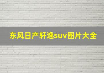 东风日产轩逸suv图片大全