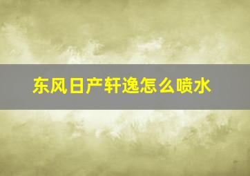 东风日产轩逸怎么喷水