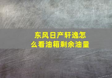 东风日产轩逸怎么看油箱剩余油量