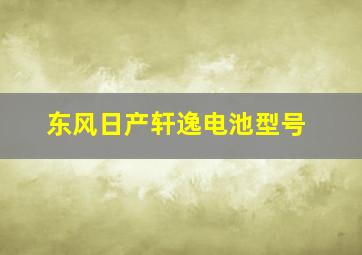 东风日产轩逸电池型号