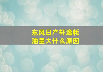 东风日产轩逸耗油量大什么原因