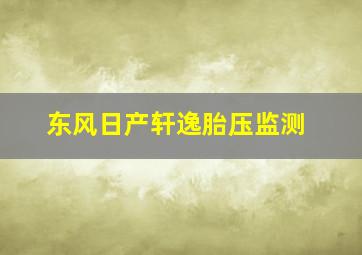 东风日产轩逸胎压监测