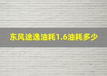 东风途逸油耗1.6油耗多少